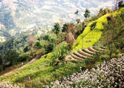 Nagarkot Dhulikhel Hike Nepal Landscape