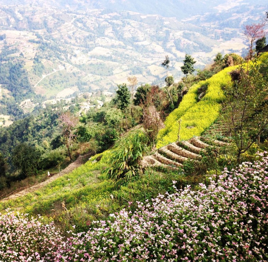 Nagarkot Dhulikhel Hike Nepal Landscape